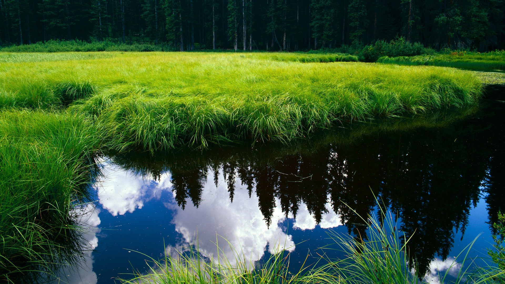 碾碎纽约！公牛东决关键战展露总冠军獠牙，尼克斯防线遭暴力破解